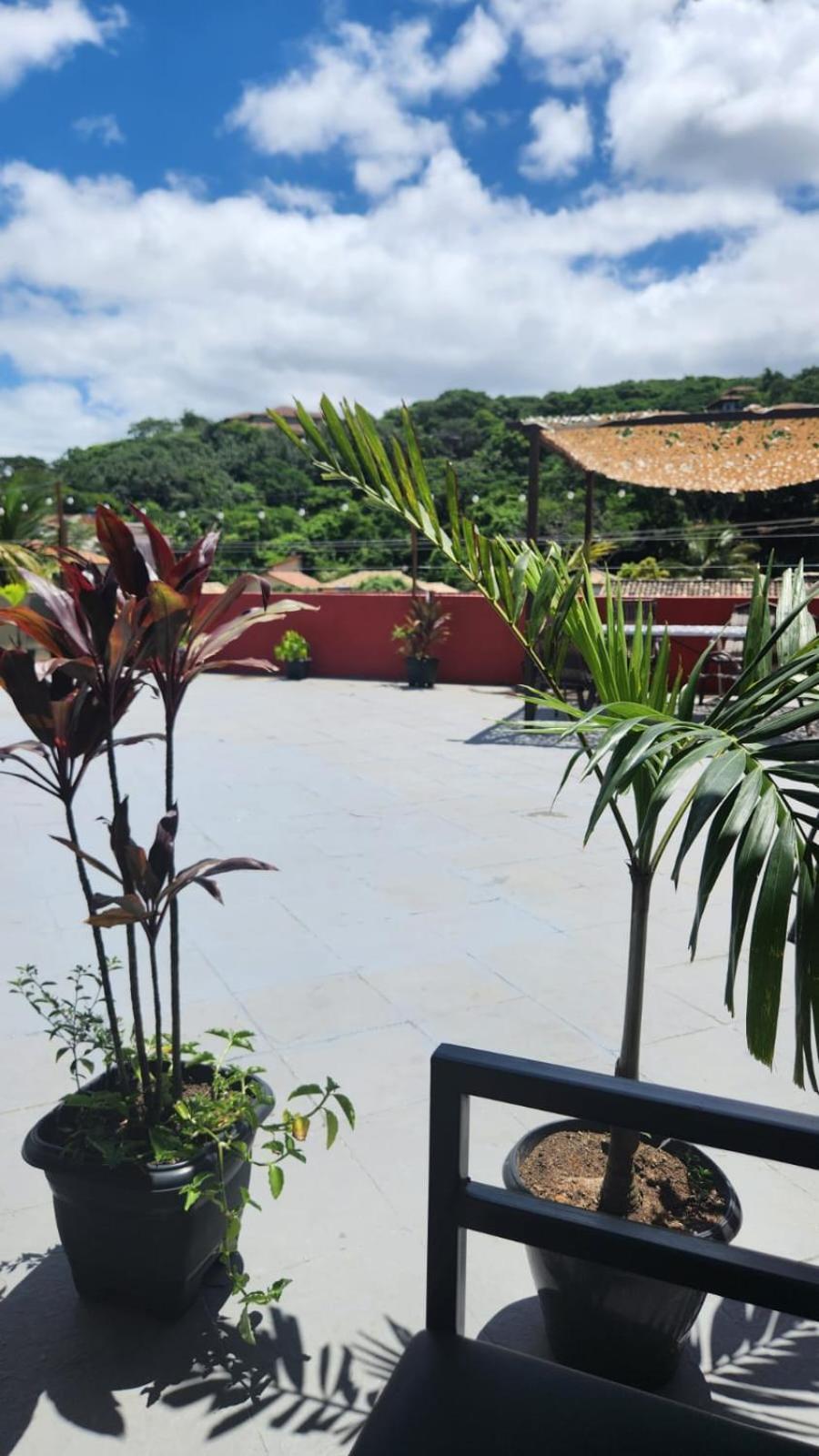 Mojomar Hostel *